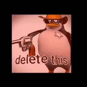 Meet your Posher, Bailey